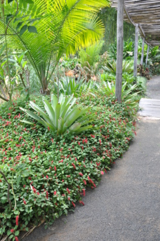 Seasonal Produce Gallery 2